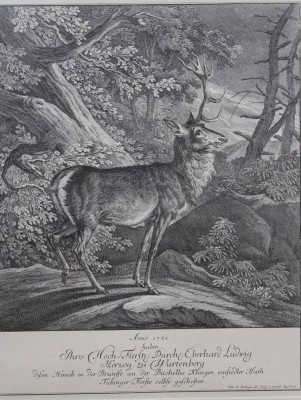 Auktion 363<br>2x Stiche nach Joh. E. Riedinger, Neuauflagen, je gerahmt/Glas, RG 54,5 x 60cm [1]