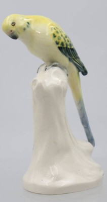 Auktion 363<br>Wellensittich auf Aststumpf von Schäfer & Vater , [1]