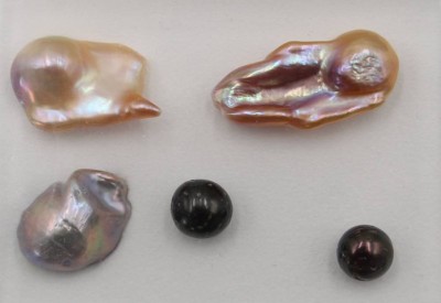 Auktion 364<br>3x Barock-Perlen sowie 2x Tahiti-Perlen, 4x ungebohrt, ca. L-3cm [1]