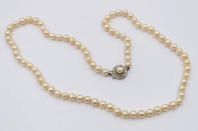 Auktion 365<br>Muschelkern-Perlenkette mit Silberschließe, ca. L-57cm [1]