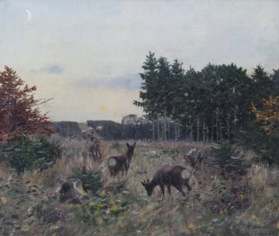 Auktion 365<br>r.u. Z.Sokolowski , Rotwild auf Lichtung, Öl/Leinwand, gerahmt, RG 60 x 67cm [1]