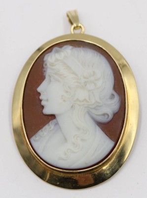 Auktion 365<br>Brosche bzw. Anhänger mit Camee, Goldfassung-585-, 4,5x3,5 cm, 15,9 gr [1]