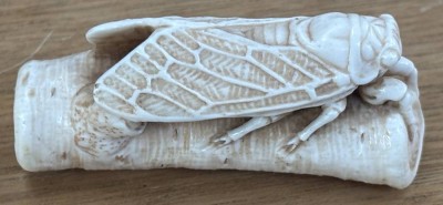 Auktion 366<br>Netsuke, Zikade auf Holzstück, Taguanuss signiert, L-5,5 cm [1]