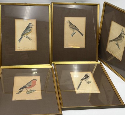 Auktion 366<br>5x colorierte Vogelstiche um 1840, alle gleich gerahmt/Glas, RG 32x26 cm [1]