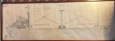 Auktion 366<br>Schiffsplan.-Zeichnung des Frachtschiffes 