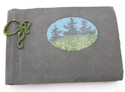 Auktion 367<br>kl. Album mit 46 div. Post-u. Ansichtskarten, meist gelaufen [1]