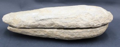 Auktion 367<br>gr. Versteinerung, Fisch, Stein zweigeteilt, L-24 cm [1]