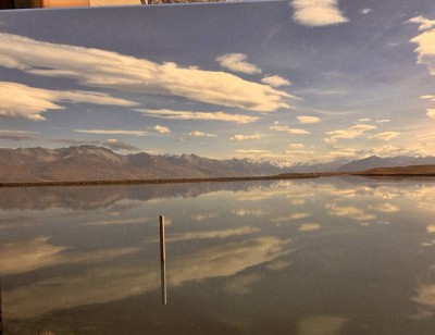 Auktion 367<br>anonymes grosses Gemälde 