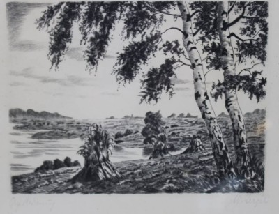 Auktion 367<br>unleserl.signierte Radierung, Landschaft, verso Stempel 