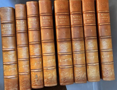 Auktion 368<br>Hermann Löns 