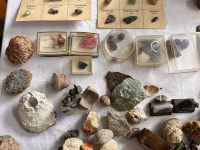 Auktion 369<br>gr. Lot Mineralien , Versteinerungen, Amtethyst-Stufe  etc., [1]