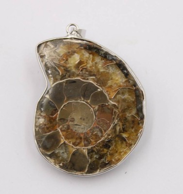 Auktion 369<br>Ammoniten-Anhänger, versilberte Fassung, ca. L-5,5cm [1]