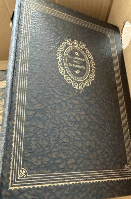 Auktion 371<br>6 Bände illustrierte Weltgeschichte (von 18) um 1920, Gebrauchsspuren [1]