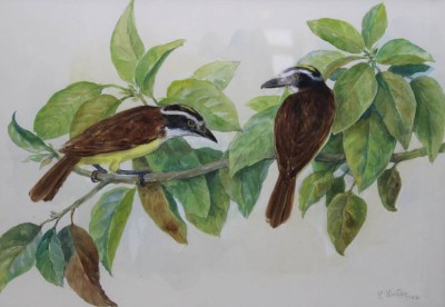 Auktion 371<br>unleserl. signiertes Aquarell, Schwefeltyrannen, datiert 1987, ger./Glas, RG 56 x 70cm [1]