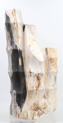 Auktion 372<br>versteinerter Bambus, wohl Indonesien, ca. H-36,5cm B-17,5cm [1]