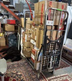 Unsere "Security" beim Bewachen ihrer Ersteigerungen